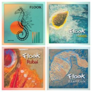 Flook CDs