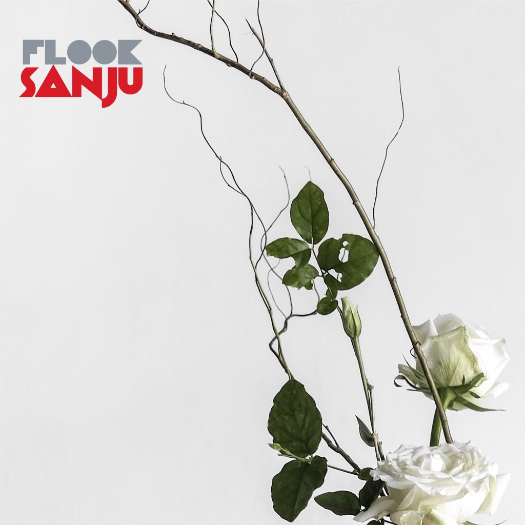 Sanju CD